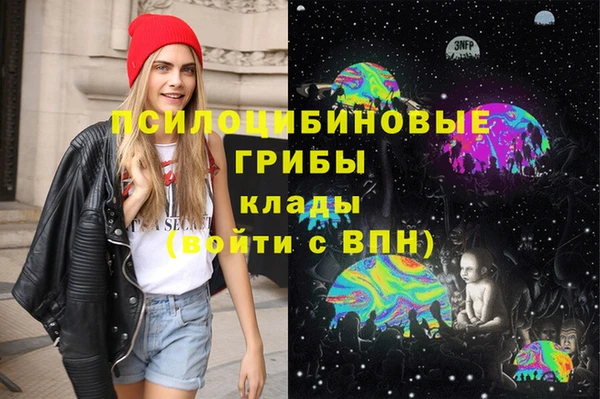 гашик Новосибирск