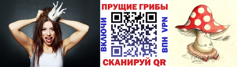 Купить где  Заволжье  Псилоцибиновые грибы мицелий 